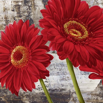 Framed Red Gerberas I Print