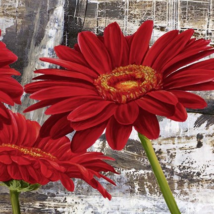 Framed Red Gerberas II Print