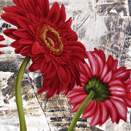 Framed Red Gerberas III Print