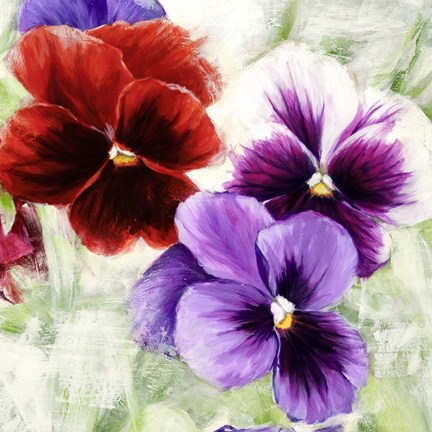 Framed Pansies I Print