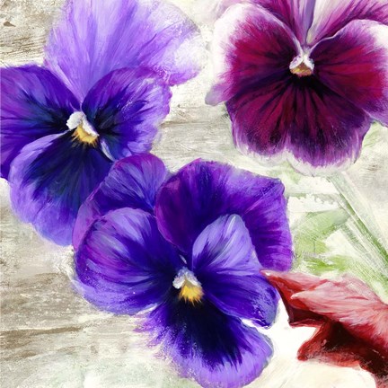 Framed Pansies II Print