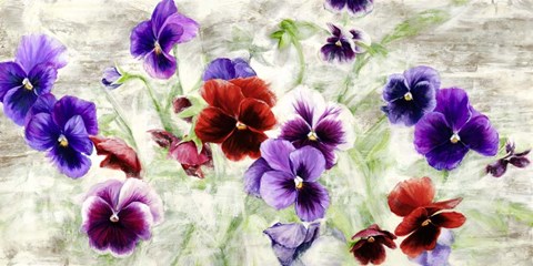 Framed Field of Pansies Print