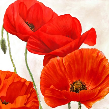 Framed Poppies II Print