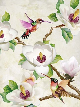 Framed Magnolia and Humming Birds Print