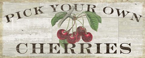 Framed Farm Fresh Cherries Print