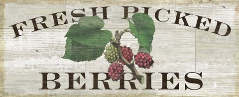 Framed Farm Fresh Berries Print