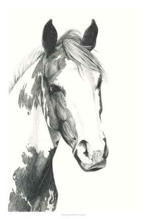 Framed American Paint I Print