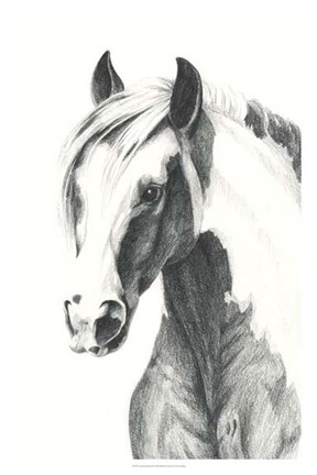 Framed American Paint II Print