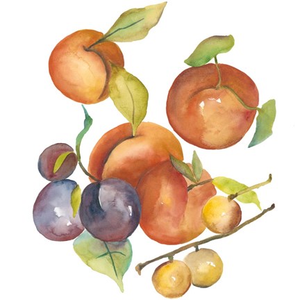 Framed Harvest Medley I Print