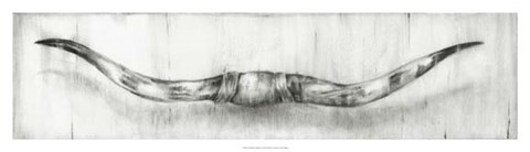 Framed Mounted Longhorns Print