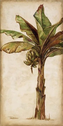 Framed Tropic Banana II Print