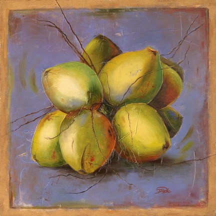 Framed Cocos Locos IV Print