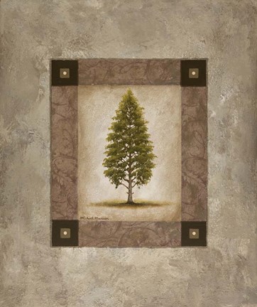 Framed European Pine I Print