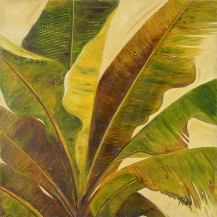 Framed Uraba I Print