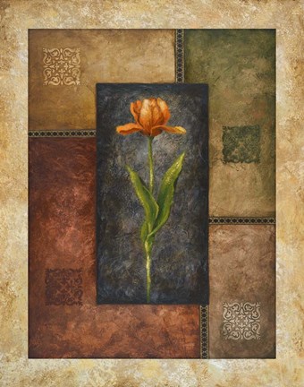 Framed Orange Tulip Print