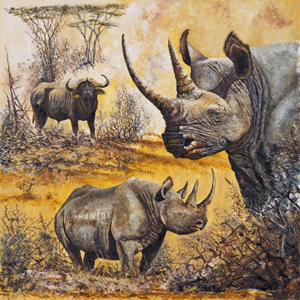 Framed Safari I Print