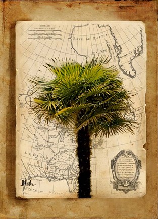 Framed America I Print