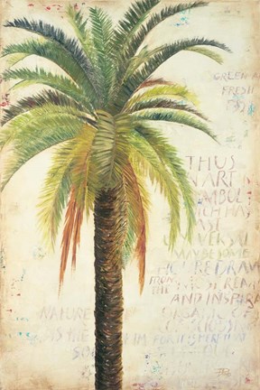 Framed Palms &amp; Scrolls II Print