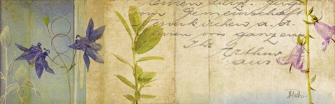 Framed Wildflower Panel I Print