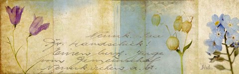 Framed Wildflower Panel II Print