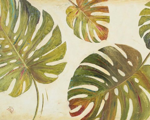 Framed Organic II Print