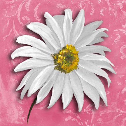 Framed Blooming Daisy III Print