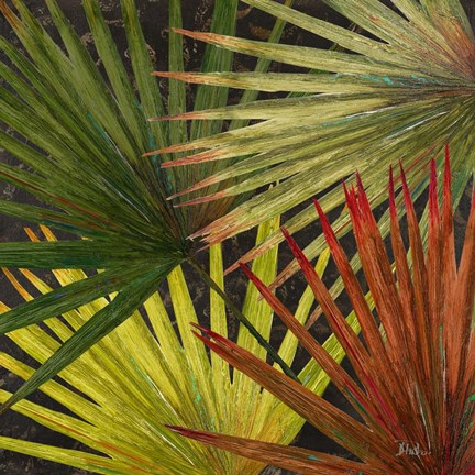 Framed New Organic I Print