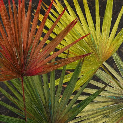 Framed New Organic II Print