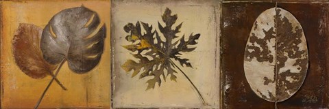 Framed Natural Panel I Print