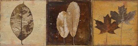 Framed Natural Panel II Print