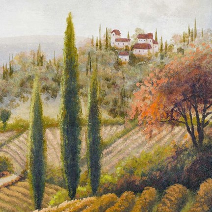 Framed Tuscany Vineyard II Print