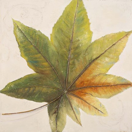 Framed Simple &amp; Beauty I Print