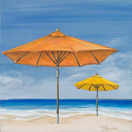 Framed Coastal Scene I Print