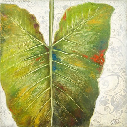 Framed Mafafa I Print