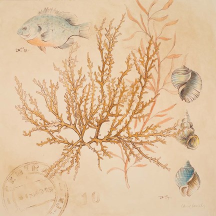 Framed Coral Medley I Print