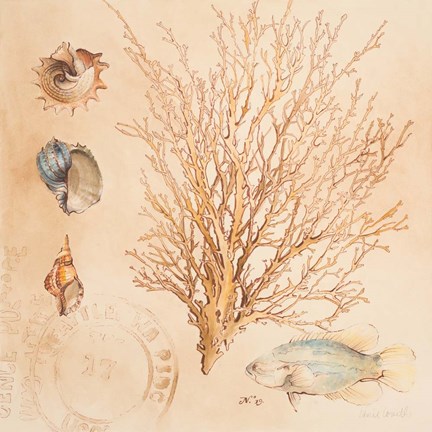 Framed Coral Medley II Print