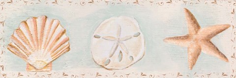 Framed Sandy Shells I Print