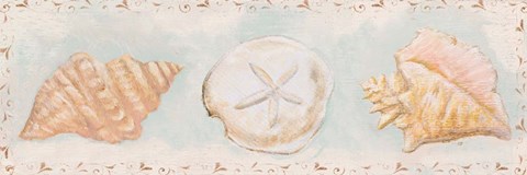 Framed Sandy Shells II Print