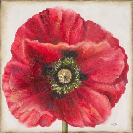 Framed Red Poppy Print