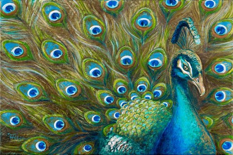 Framed Wild Feathers Print