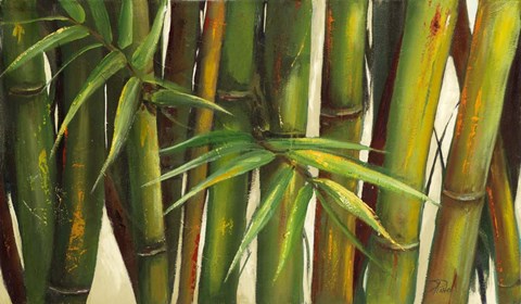 Framed Bamboo on Beige II Print