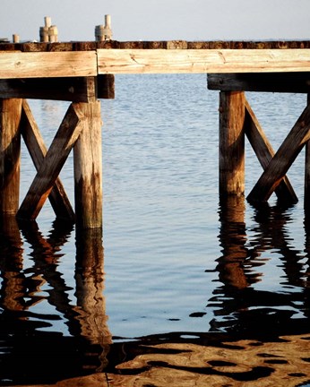 Framed Waterside Beauty I Print