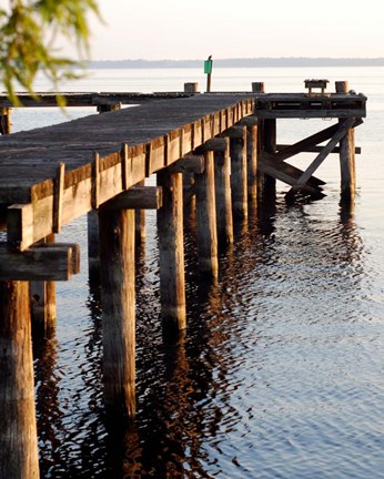 Framed Waterside Beauty II Print