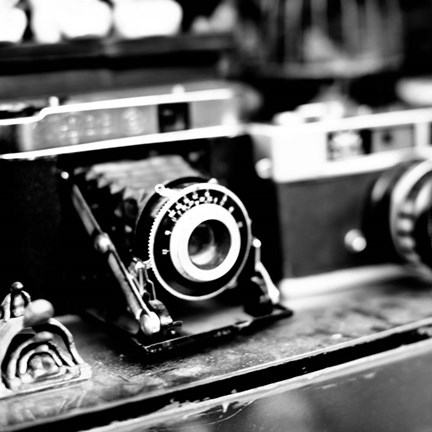 Framed Rare Finds I Print