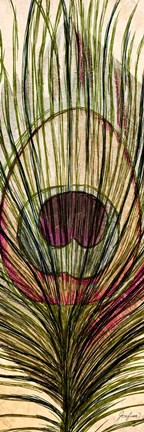 Framed Peacock Feather I Print