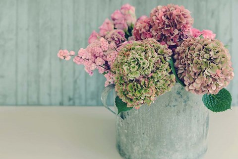 Framed Blossoming Water Can Print