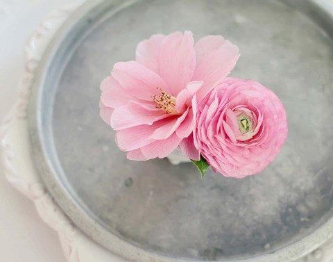 Framed Captivating Pair Print