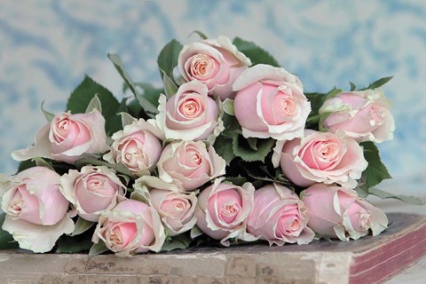 Framed Gift for Captivation Print