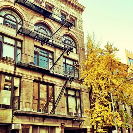 Framed Chelsea Afternoon I Print