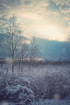 Framed Winter&#39;s Day Print